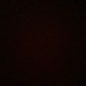 Meet your Posher, Shane